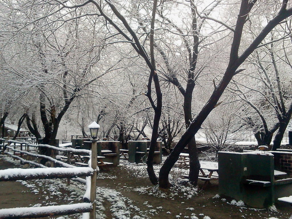 Camping Y Hostal El Ovejero El Calafate Exterior foto